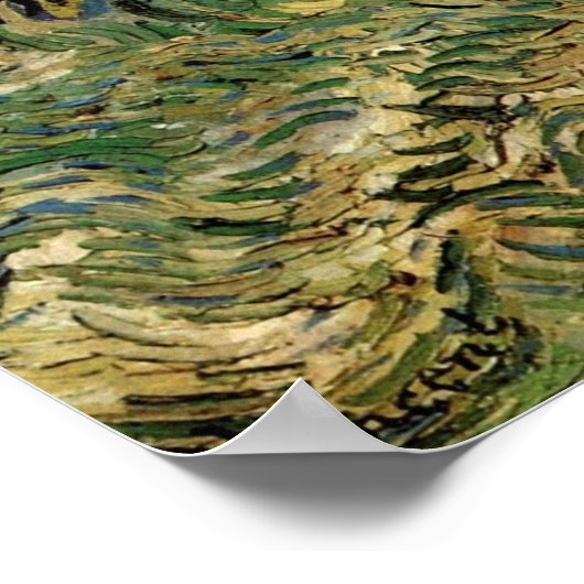 Olive Grove by Vincent van Gogh Poster (Hoek)