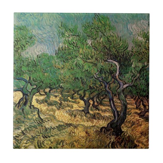 Olive Grove by Vincent van Gogh Tegeltje (Voorkant)