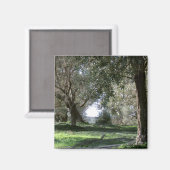 Olive Grove Magnet (Voorkant / Achterkant)