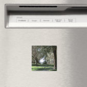 Olive Grove Magnet (Insitu (Vaatwasser))