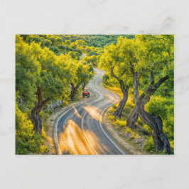 Olive Grove met oude tractor bij Evening Road Feestdagenkaart