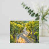 Olive Grove met oude tractor bij Evening Road Feestdagenkaart (Staand voorkant)