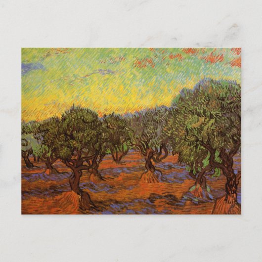 Olive Grove, Oranje Sky van Vincent van Gogh Briefkaart (Voorkant)