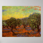 Olive Grove, Oranje Sky van Vincent van Gogh Poster (Voorkant)