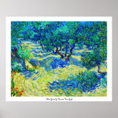 Olive Grove van Vincent Van Gogh Poster (Voorkant)