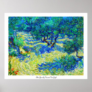 Olive Grove van Vincent Van Gogh Poster