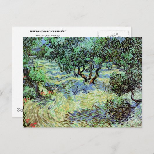 Olive Grove, Vincent van Gogh Briefkaart (Voorkant / Achterkant)
