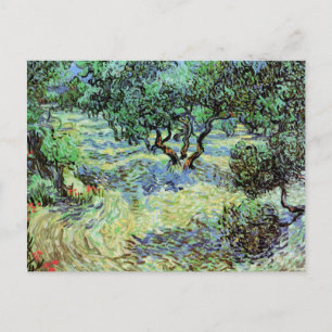 Olive Grove, Vincent van Gogh Briefkaart