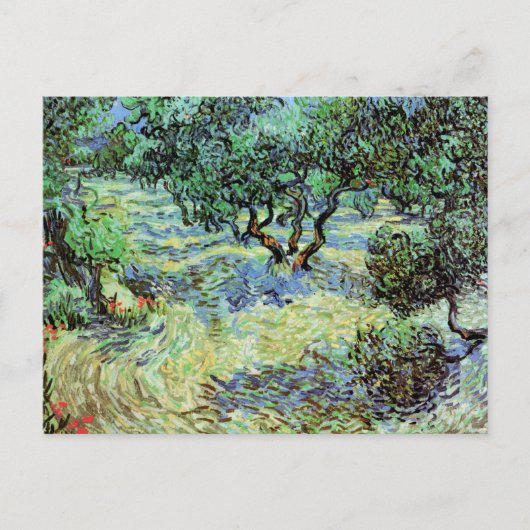 Olive Grove, Vincent van Gogh Briefkaart (Voorkant)