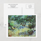 Olive Grove, Vincent van Gogh Fine Art Briefkaart (Voorkant / Achterkant)