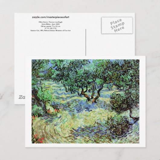 Olive Grove, Vincent van Gogh Fine Art Briefkaart (Voorkant / Achterkant)