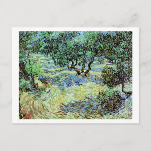 Olive Grove, Vincent van Gogh Fine Art Briefkaart