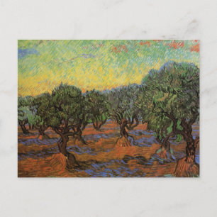 Olive Grove with Oranje Sky, Vincent van Gogh Briefkaart