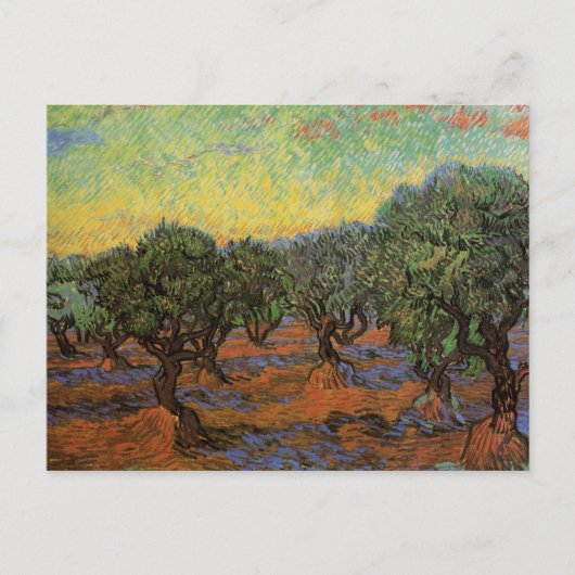 Olive Grove with Oranje Sky, Vincent van Gogh Briefkaart (Voorkant)