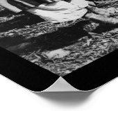 Olive Harvest Palestine 1886 Poster (Hoek)