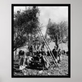 Olive Harvest Palestine 1886 Poster (Voorkant)