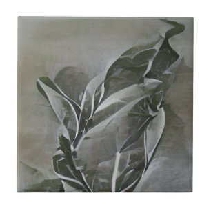 Olive leaf grijs etsen abstracte grafische kunst tegeltje