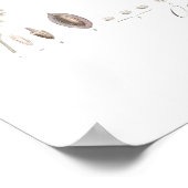 Olive, Olea europaea Poster (Hoek)