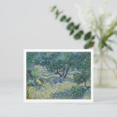 Olive Orchard van Gogh Briefkaart (Staand voorkant)