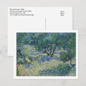 Olive Orchard van Gogh Briefkaart (Voorkant / Achterkant)