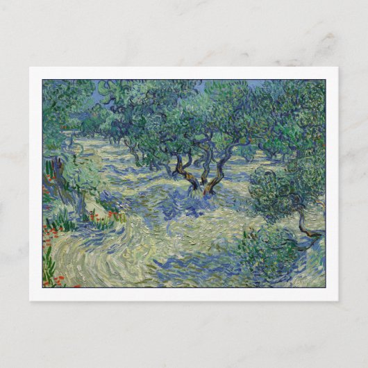 Olive Orchard van Gogh Briefkaart (Voorkant)
