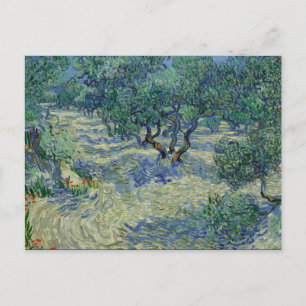 Olive Orchard van Gogh Briefkaart