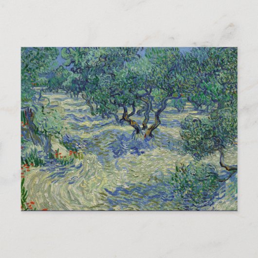 Olive Orchard van Gogh Briefkaart (Voorkant)