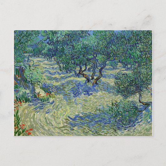 Olive Orchard, Vincent van Gogh Briefkaart (Voorkant)