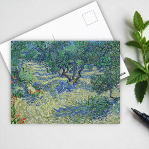 Olive Orchard, Vincent van Gogh Briefkaart