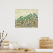 Olive Orchard - Vincent van Gogh Fine Art Poster (Keuken)