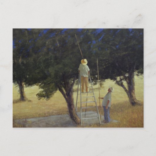 Olive Pickers 1985 Briefkaart (Voorkant)