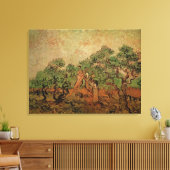 Olive Picking door Vincent van Gogh Canvas Afdruk (Insitu (Woonkamer))