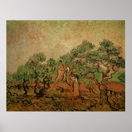 Olive Picking door Vincent van Gogh Poster