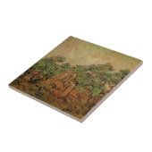 Olive Picking door Vincent van Gogh Tegeltje (Zijkant)