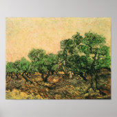 Olive Picking Van Gogh Fine Art Poster (Voorkant)