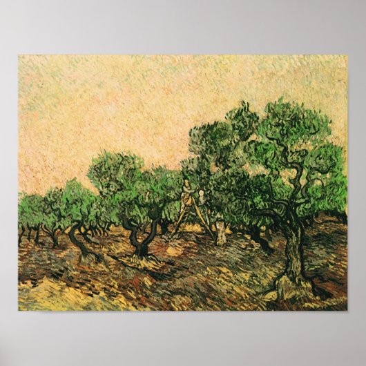 Olive Picking Van Gogh Fine Art Poster (Voorkant)