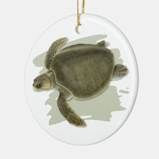 Olive Ridley Zee Turtle Ceramic Ornament (Links)