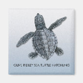 Olive Ridley Zee Turtle Hatchling Magnet (Voorkant)