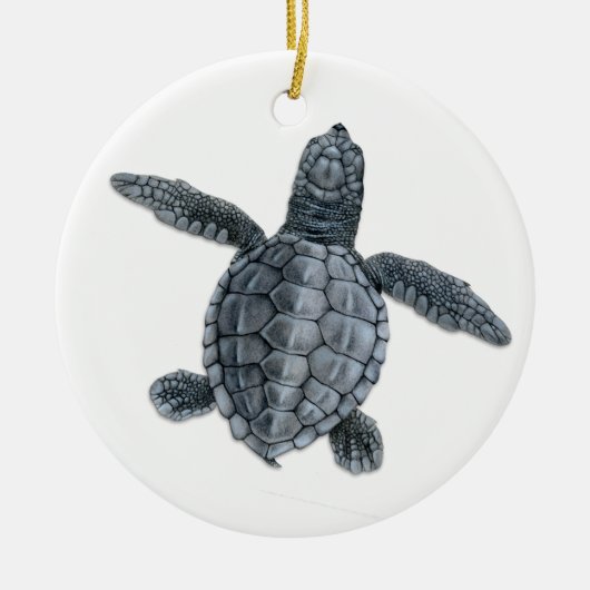 Olive Ridley Zee Turtle Hatchling Ornament (Voorkant)