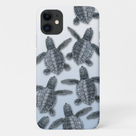 Olive Ridley Zee Turtle iPhone Case
