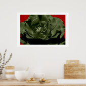 Olive Rose w/Red Anegelhair textured Background  Poster (Keuken)