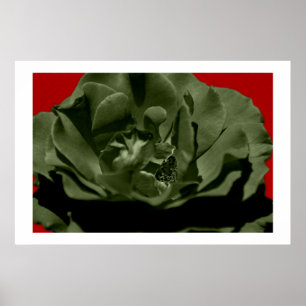 Olive Rose w/Red Anegelhair textured Background  Poster