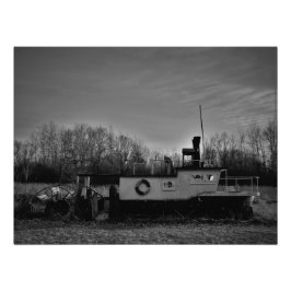 "Olive Shores" Foto Afdruk