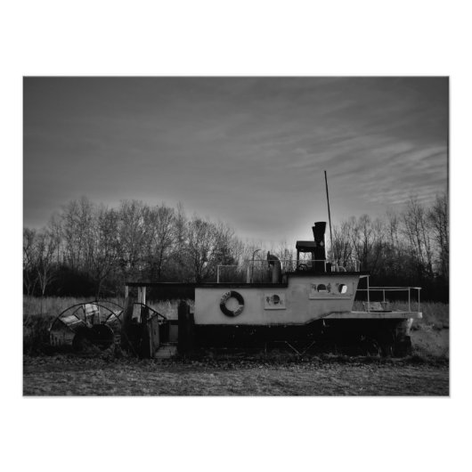 "Olive Shores" Foto Afdruk (Voorkant)