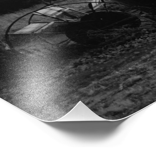 "Olive Shores" Foto Afdruk (Hoek)