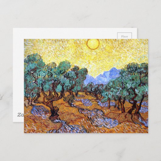 Olive Trees in the Sun Van Gogh Briefkaart (Voorkant / Achterkant)