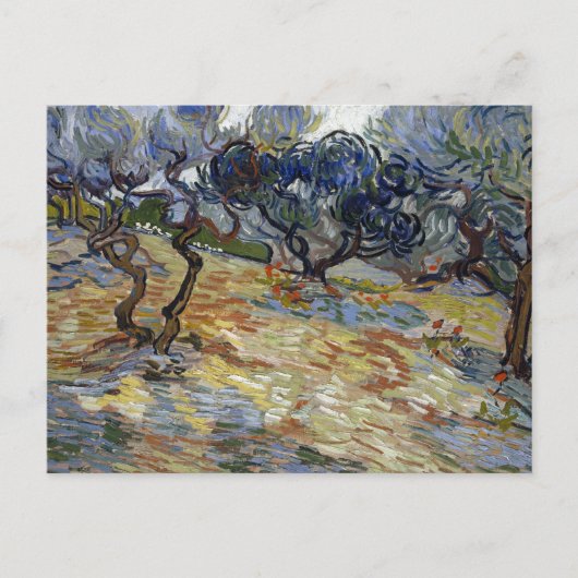 Olive Trees Landscape Vincent van Gogh Briefkaart (Voorkant)