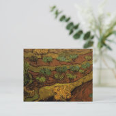 Olive Trees Slope of Hill Van Gogh Fine Art Briefkaart (Staand voorkant)