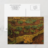 Olive Trees Slope of Hill Van Gogh Fine Art Briefkaart (Voorkant / Achterkant)