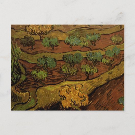 Olive Trees Slope of Hill Van Gogh Fine Art Briefkaart (Voorkant)